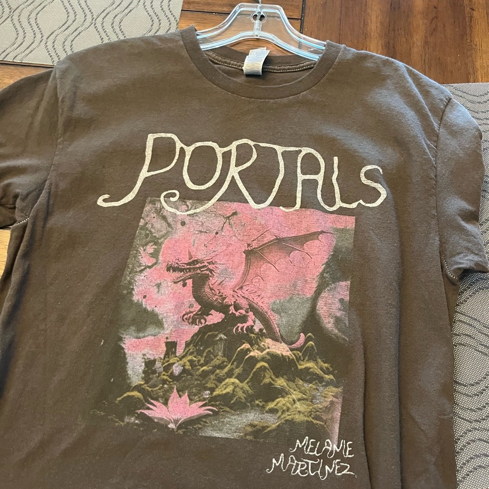 Gildan Short Sleeve Tees in Brown with Graphic Designs